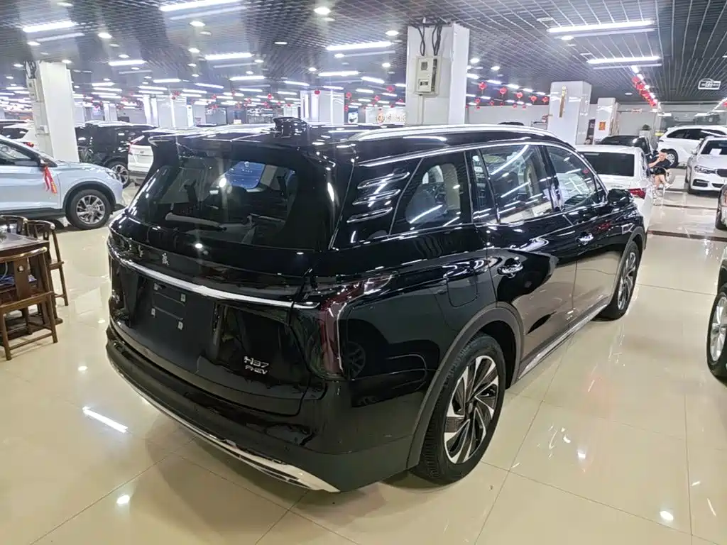 Hongqi Hongqi HS7 PHEV — миниатюра 7