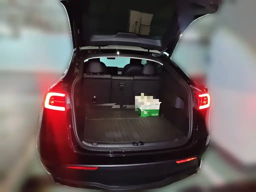 Tesla Model Y — миниатюра 20