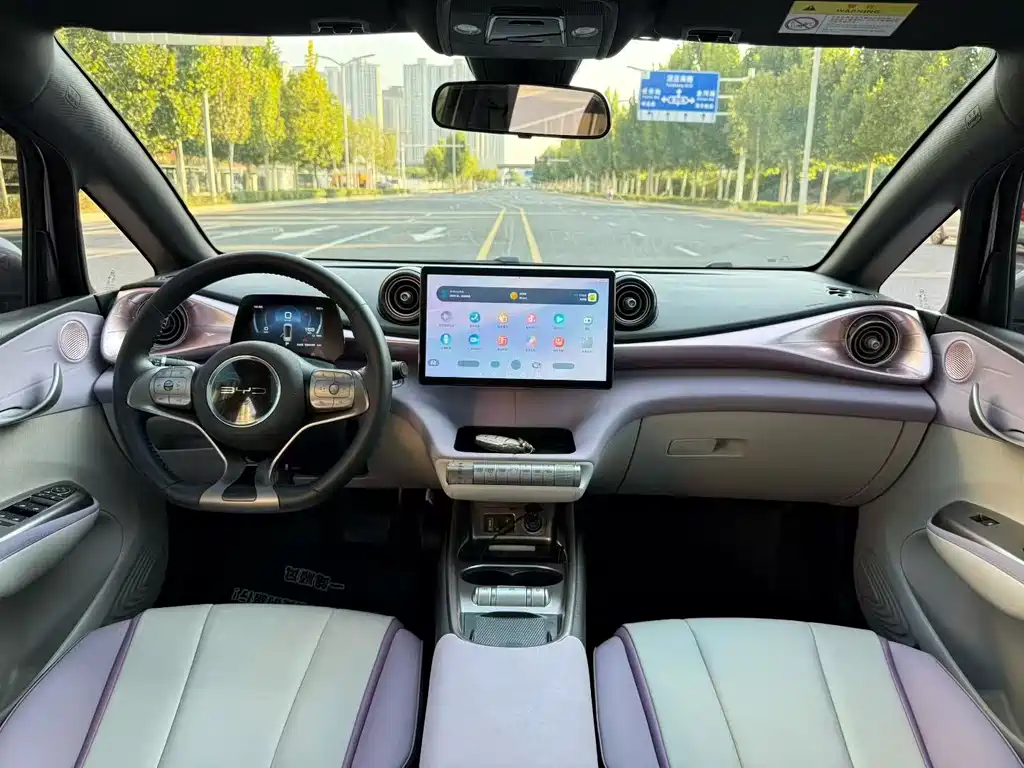 BYD Dolphin — миниатюра 5