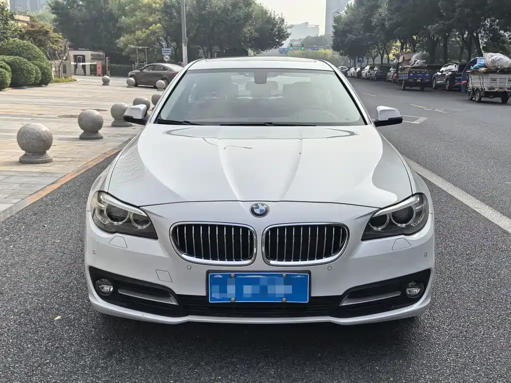 BMW 5 Series 5 2014 528Li Lead