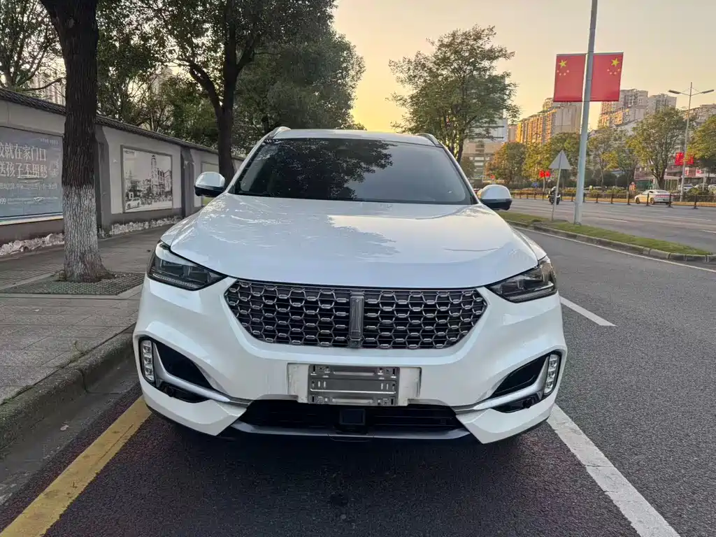 Wey Wey VV6 — миниатюра 2