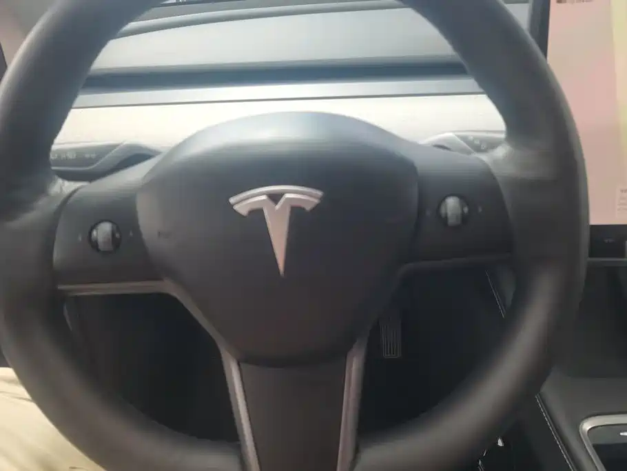 Tesla Model Y — миниатюра 15