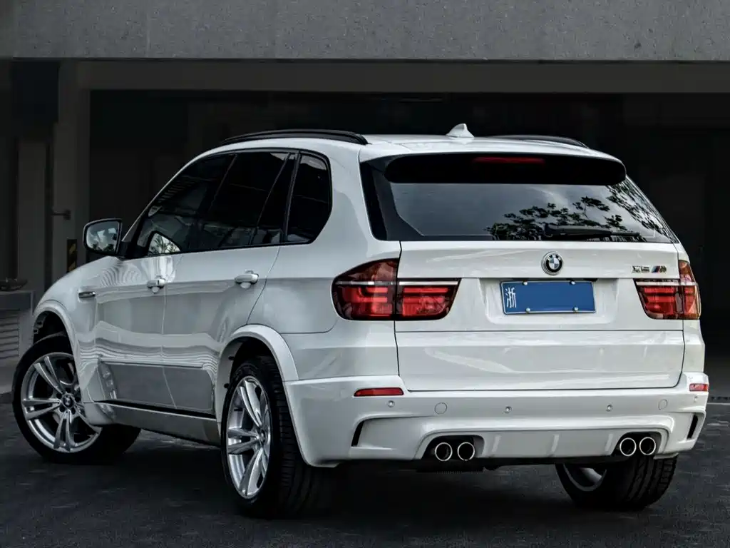 BMW X5 2010 X5 M