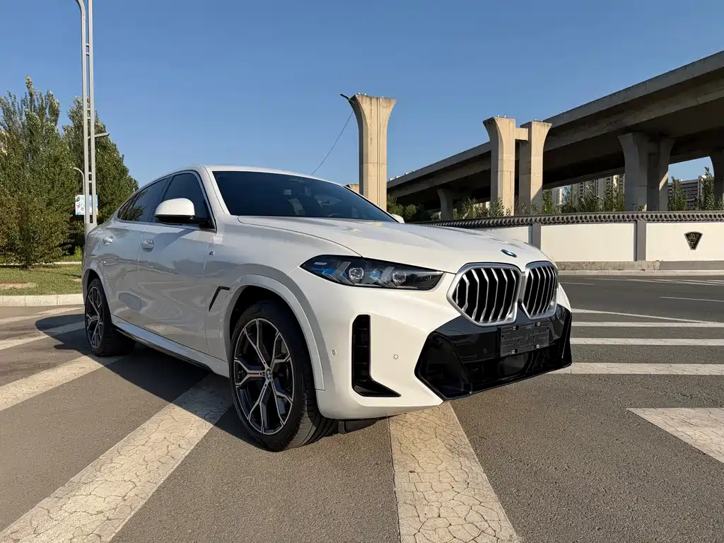BMW X6 — миниатюра 2