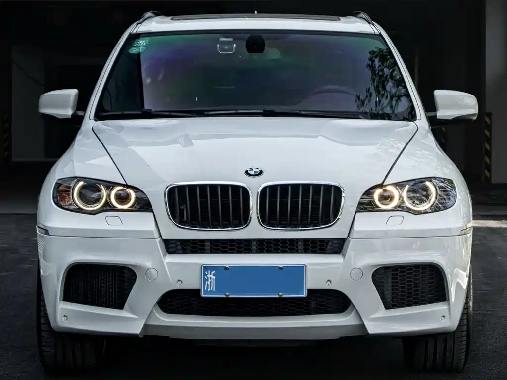 BMW X5 2010 X5 M