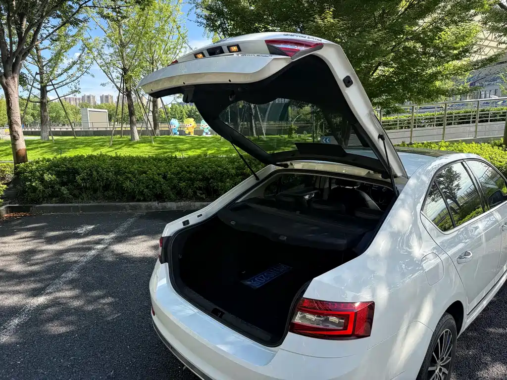 Skoda Octavia — миниатюра 17