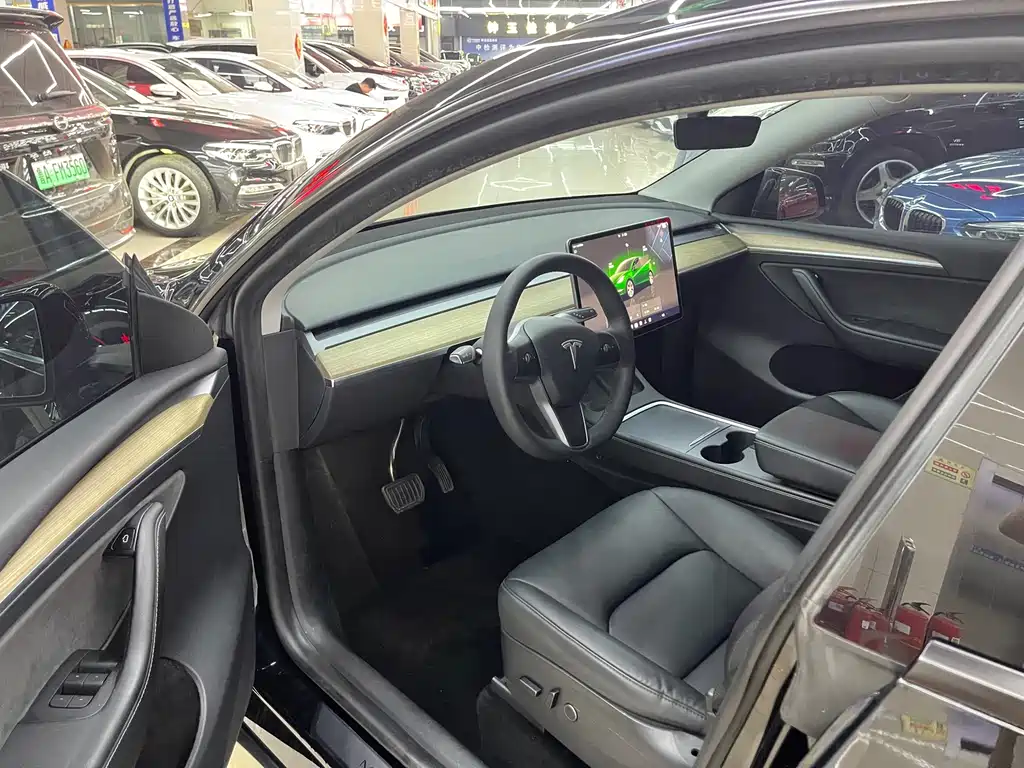 Tesla Model Y — миниатюра 3