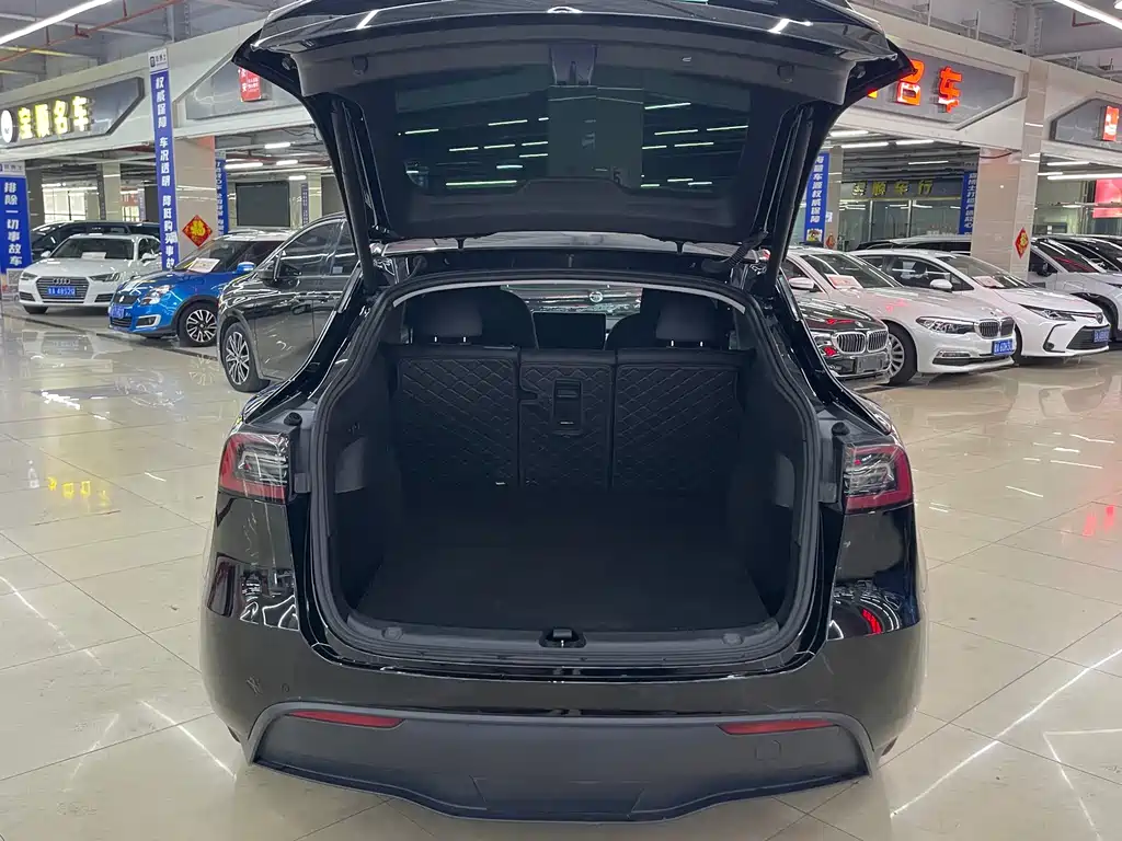 Tesla Model Y — миниатюра 9