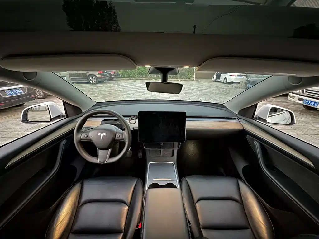 Tesla Model Y — миниатюра 4