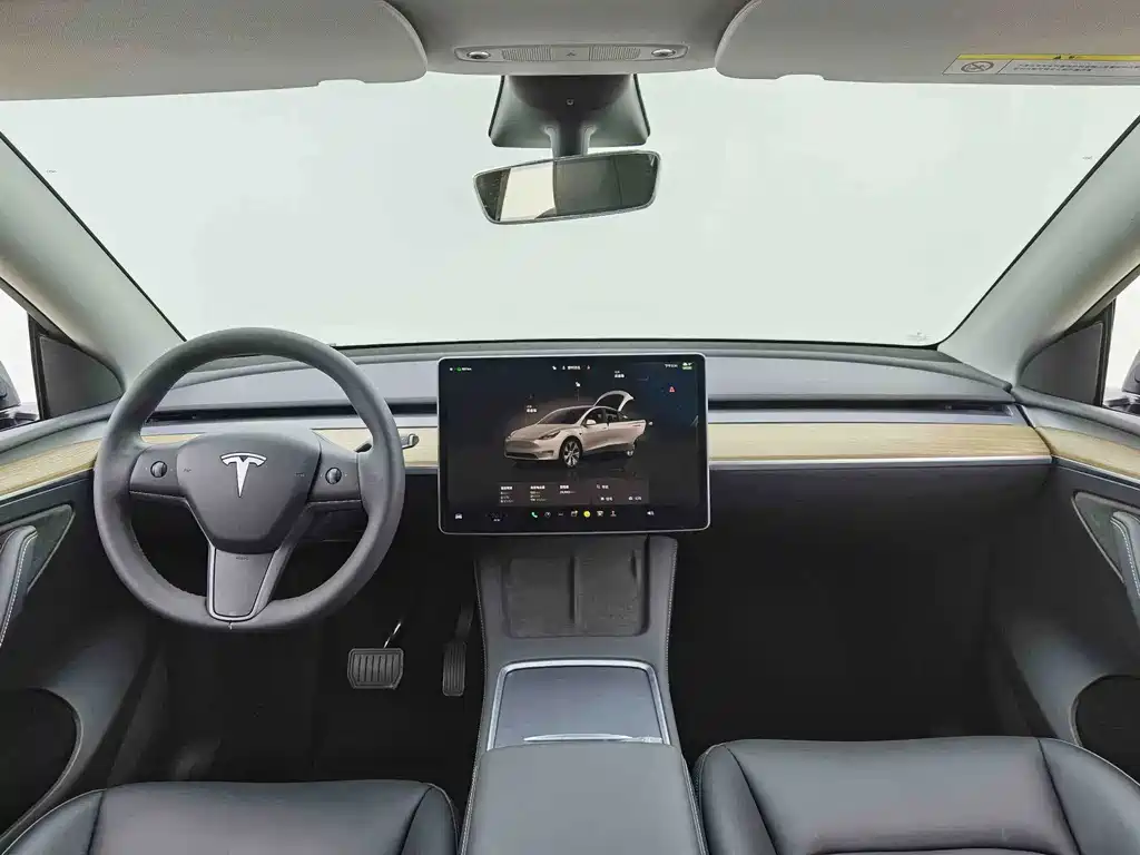Tesla Model Y — миниатюра 6