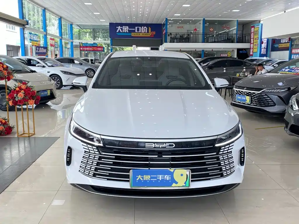 BYD Destroyer 05 — миниатюра 2
