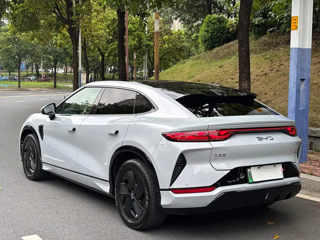 BYD L EV — миниатюра 35