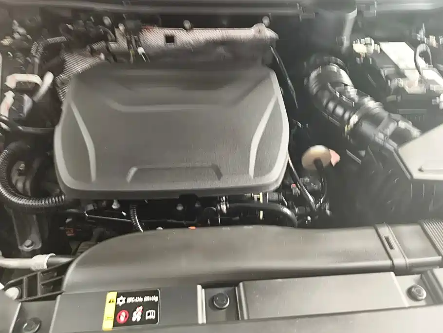 Haval Haval Big Dog PLUS — миниатюра 10