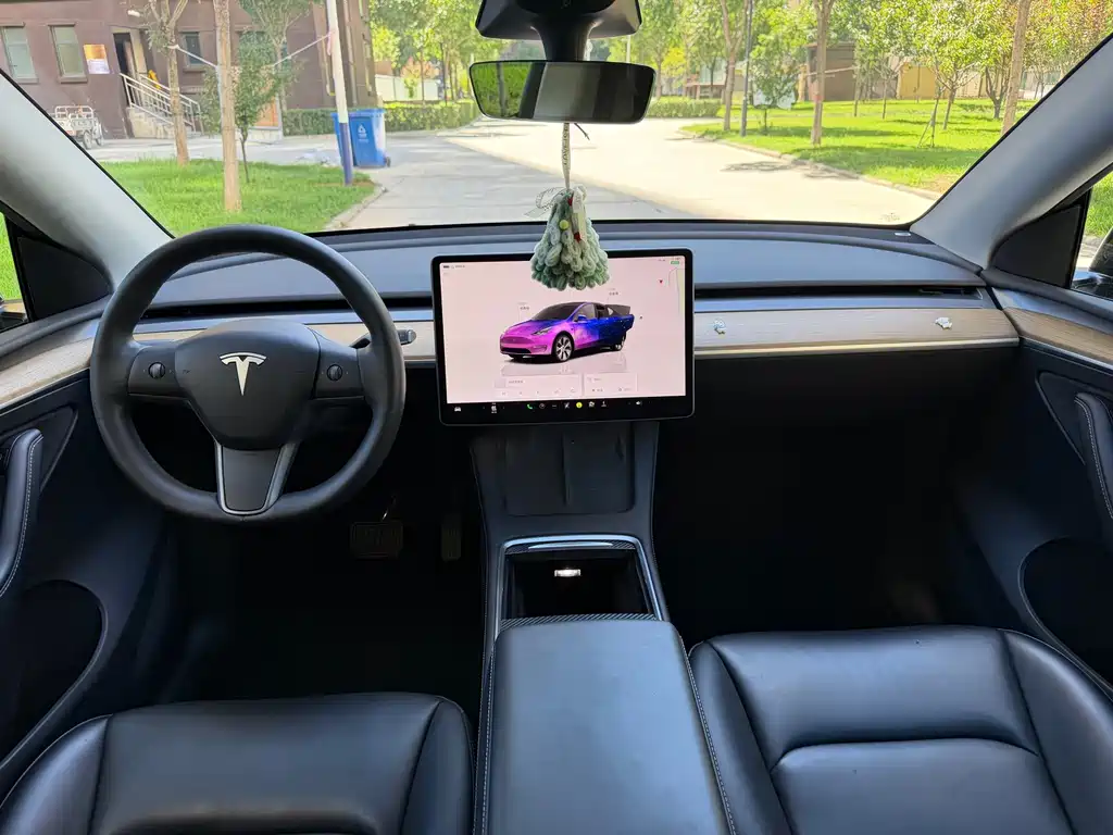 Tesla Model Y — миниатюра 7