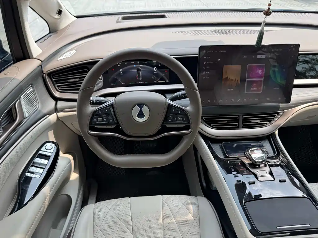 Denza Denza D9 — миниатюра 13
