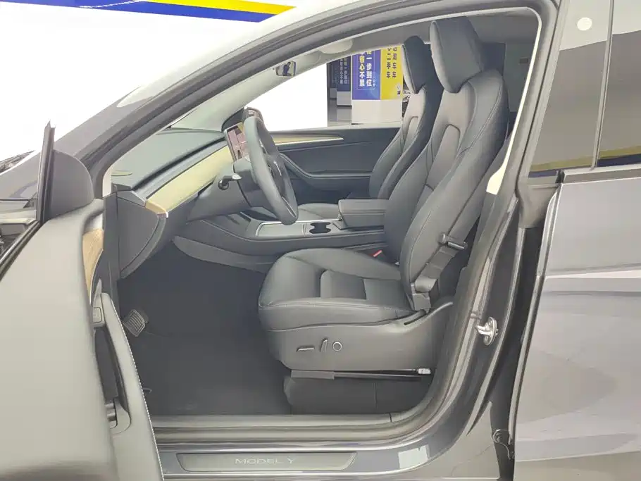 Tesla Model Y — миниатюра 9