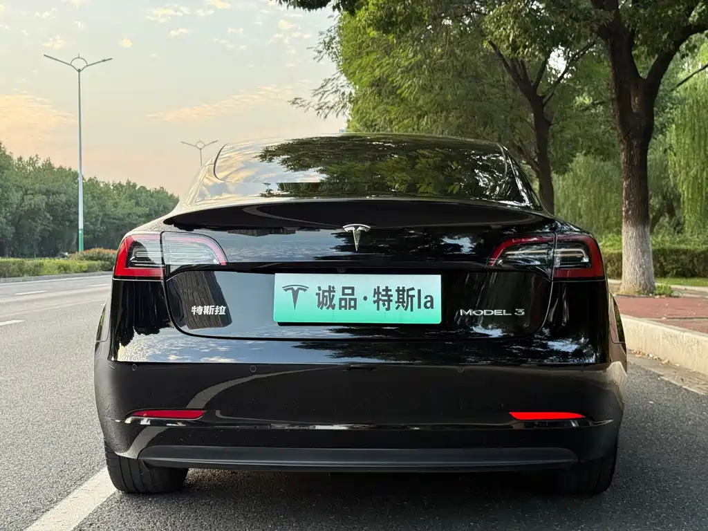 Tesla Model 3 — миниатюра 4