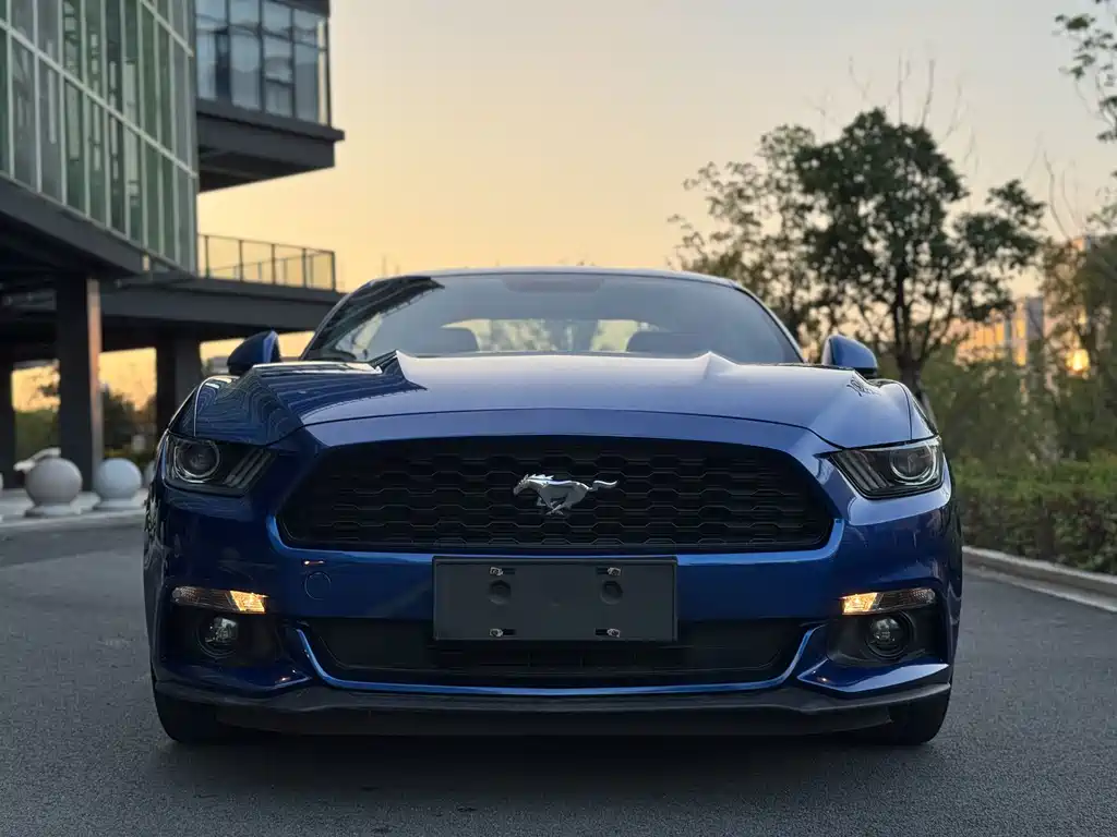 Ford Mustang — миниатюра 2