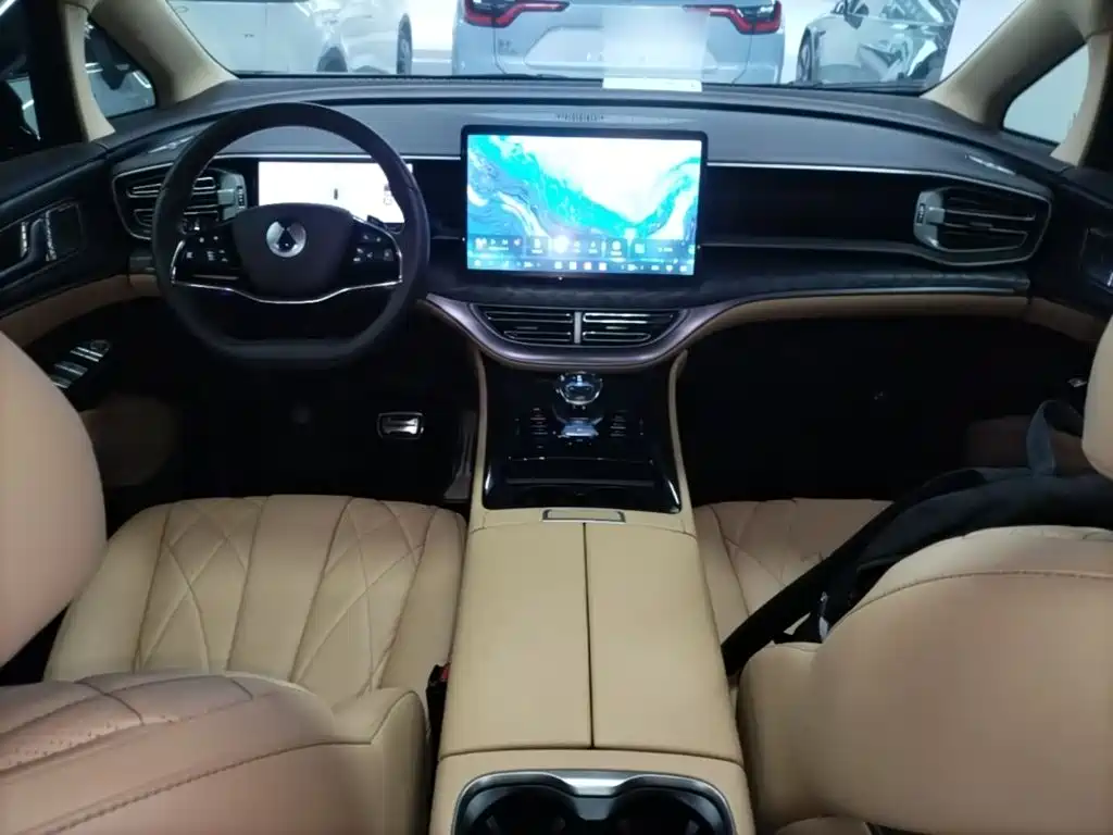 Denza Denza D9 — миниатюра 10