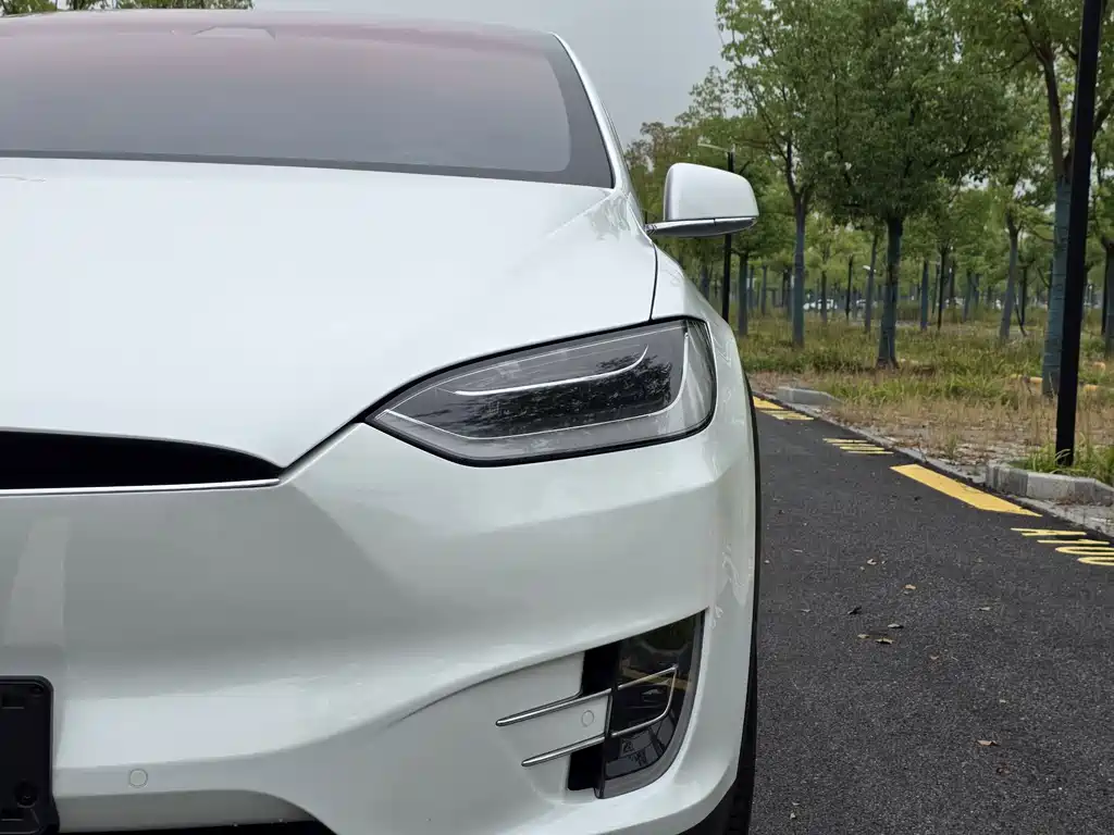 Tesla Model X — миниатюра 28