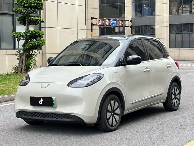 2024 Wuling Motors Binguo