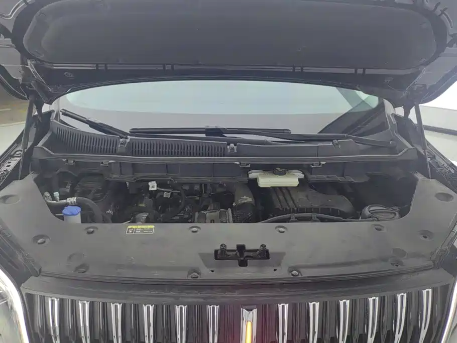 Hongqi HQ9 PHEV 2024 2.0T