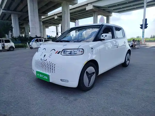 2021 Ora R2/White Cat