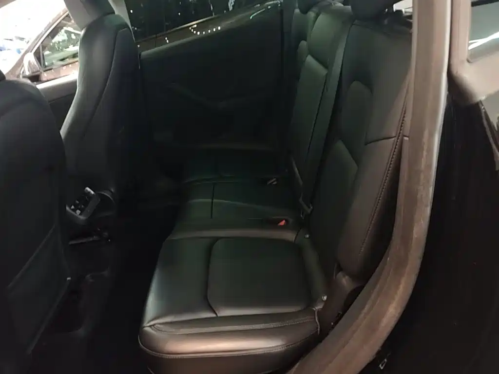 Tesla Model Y — миниатюра 17