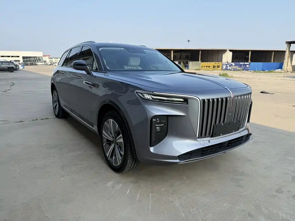 Hongqi E-HS9 2021 460km мест