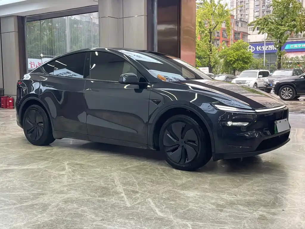 Tesla Model Y — миниатюра 3