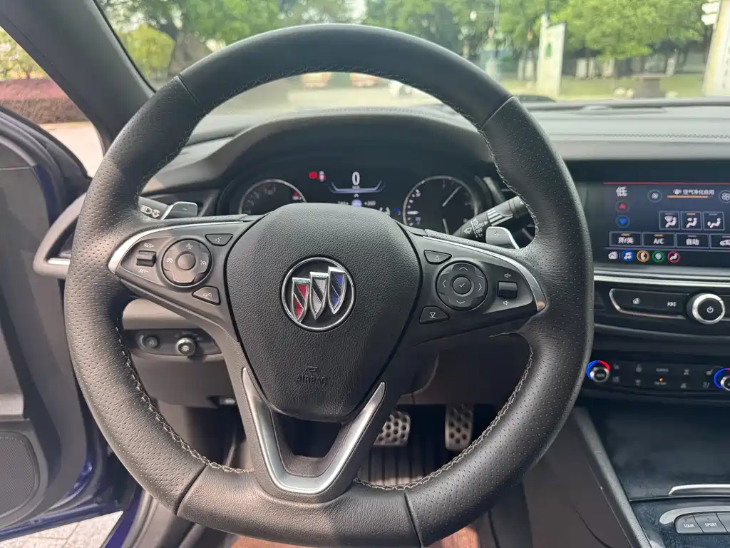 Buick Regal — миниатюра 16