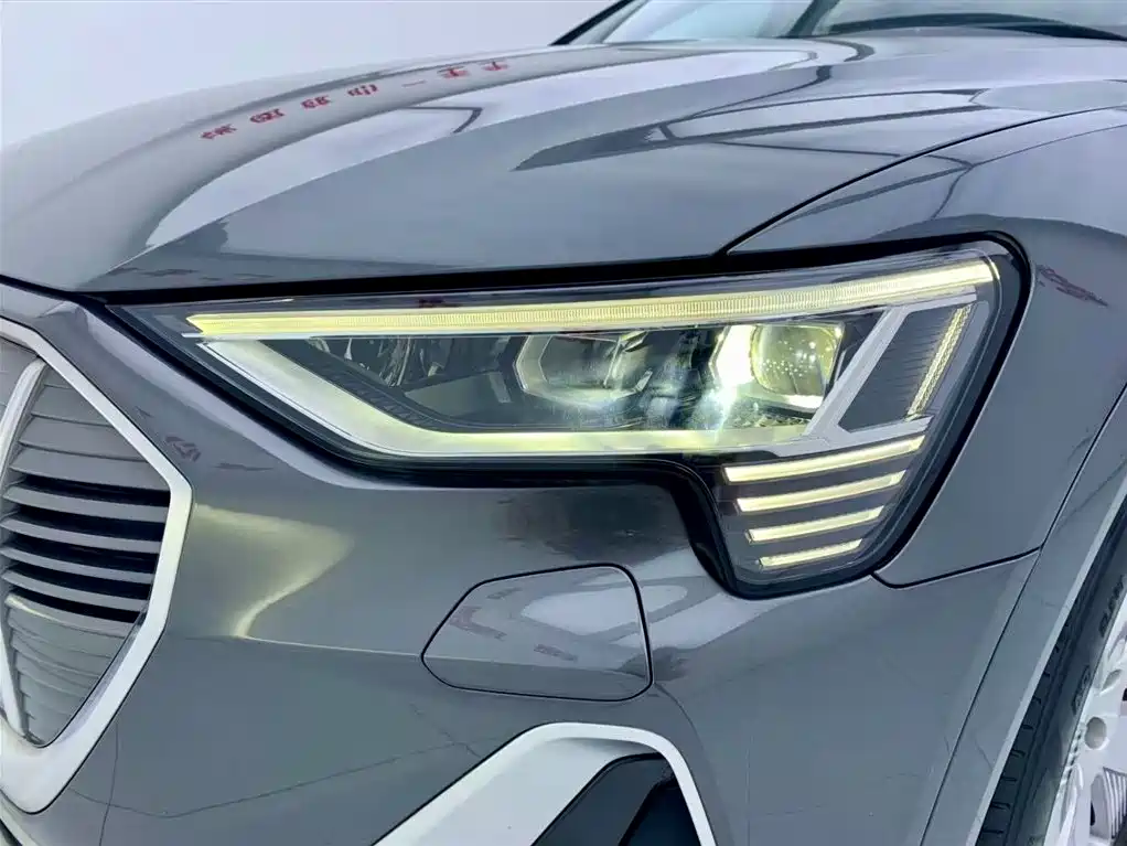 Audi e-tron 2021 50 quattro Luxury