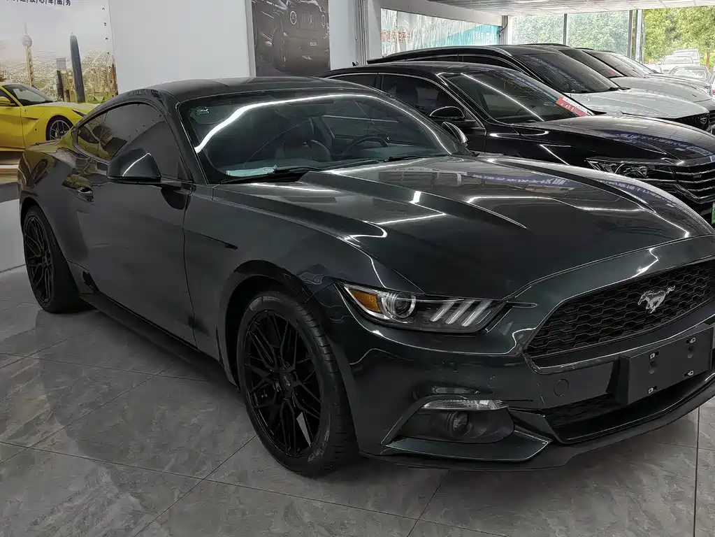 Ford Mustang — миниатюра 2