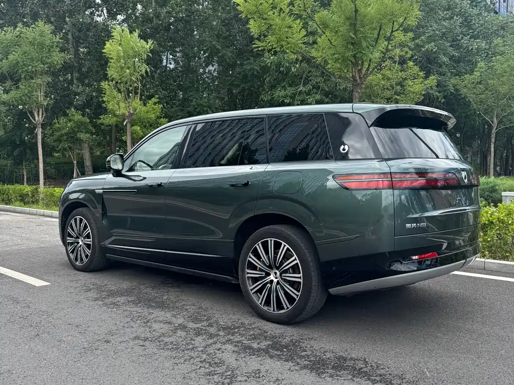 Denza N9 2025 Flagship