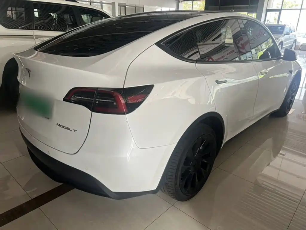 Tesla Model Y — миниатюра 3