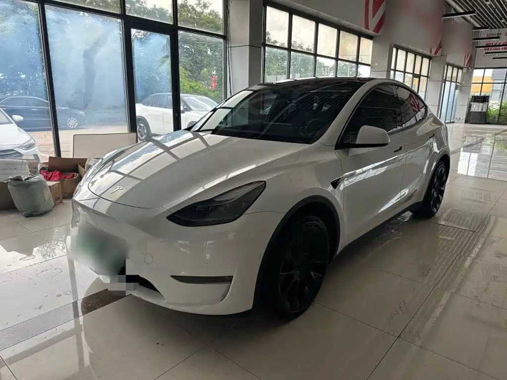 Tesla Model Y — миниатюра 2