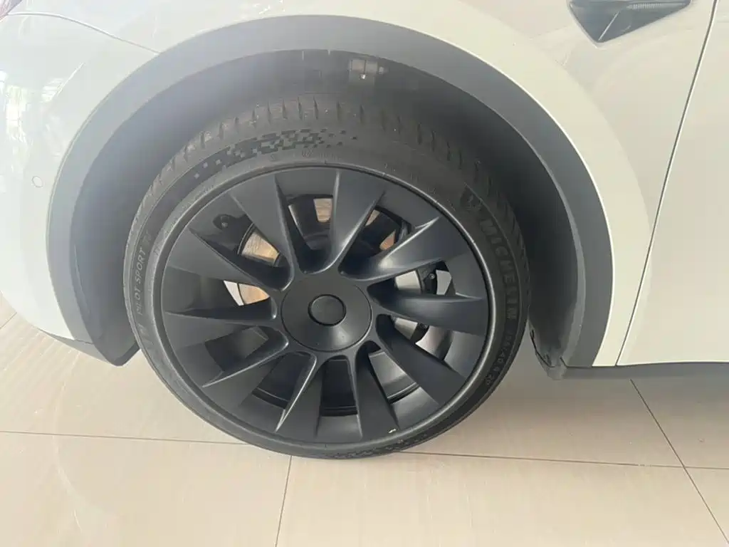 Tesla Model Y — миниатюра 7