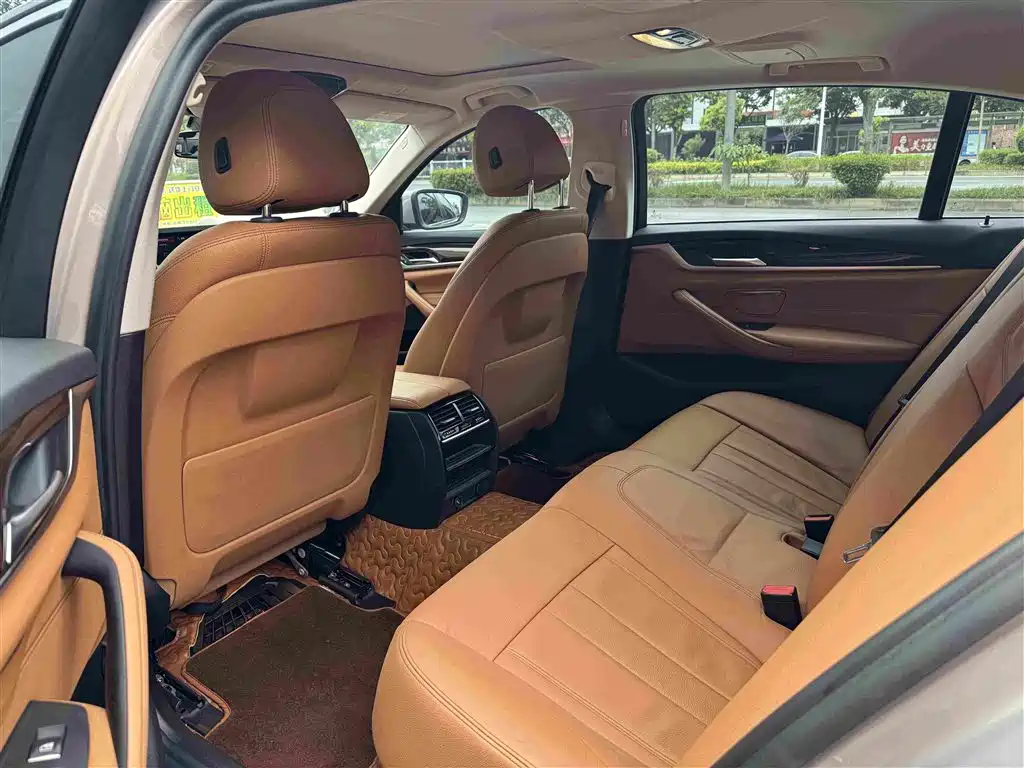 BMW 5 Series 5 2018 528Li