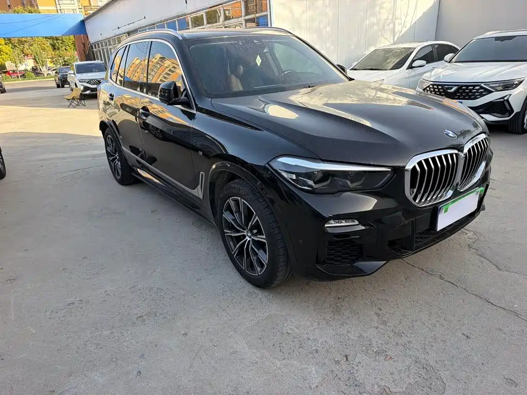 BMW X5 (Import) — миниатюра 5