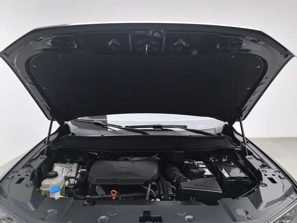 Haval Big Dog PLUS — миниатюра 6