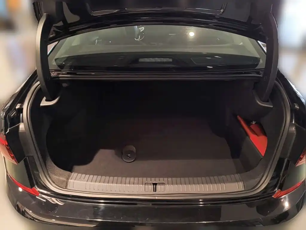 Volkswagen Passat — миниатюра 24