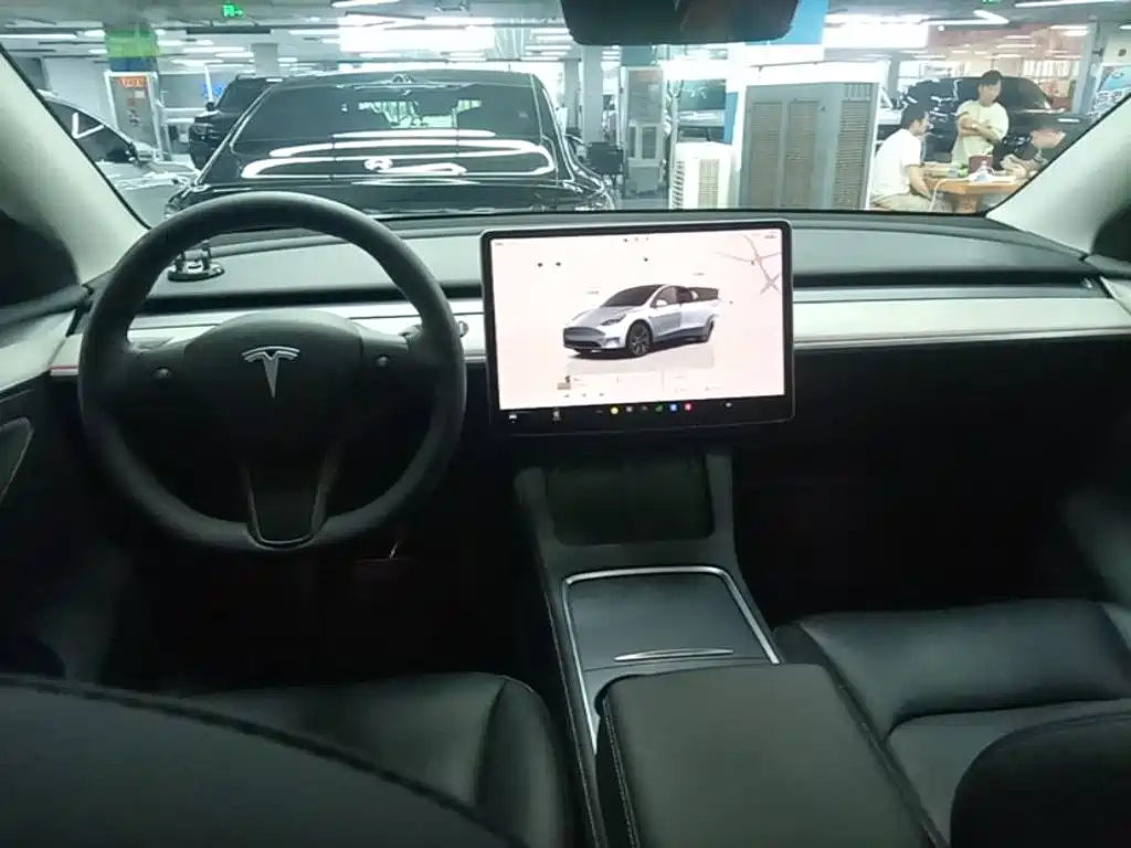 Tesla Model Y — миниатюра 10