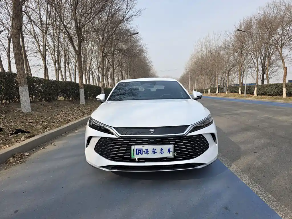 BYD QIN L