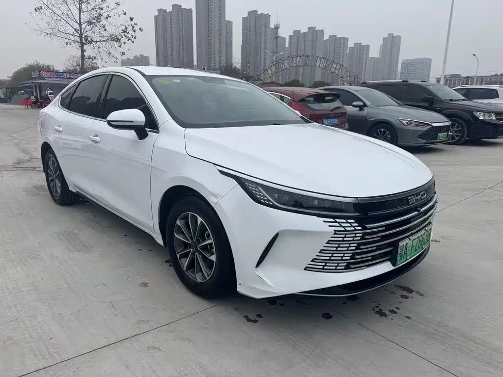 BYD DESTROYER 05