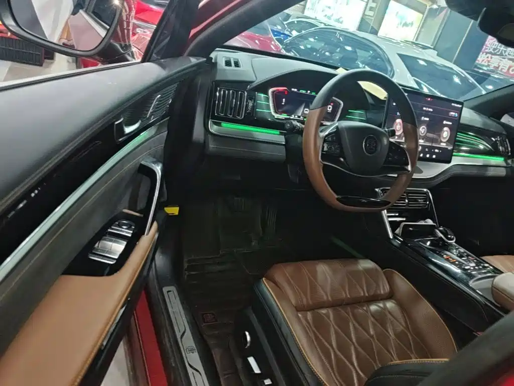 BYD Tang New Energy — миниатюра 16
