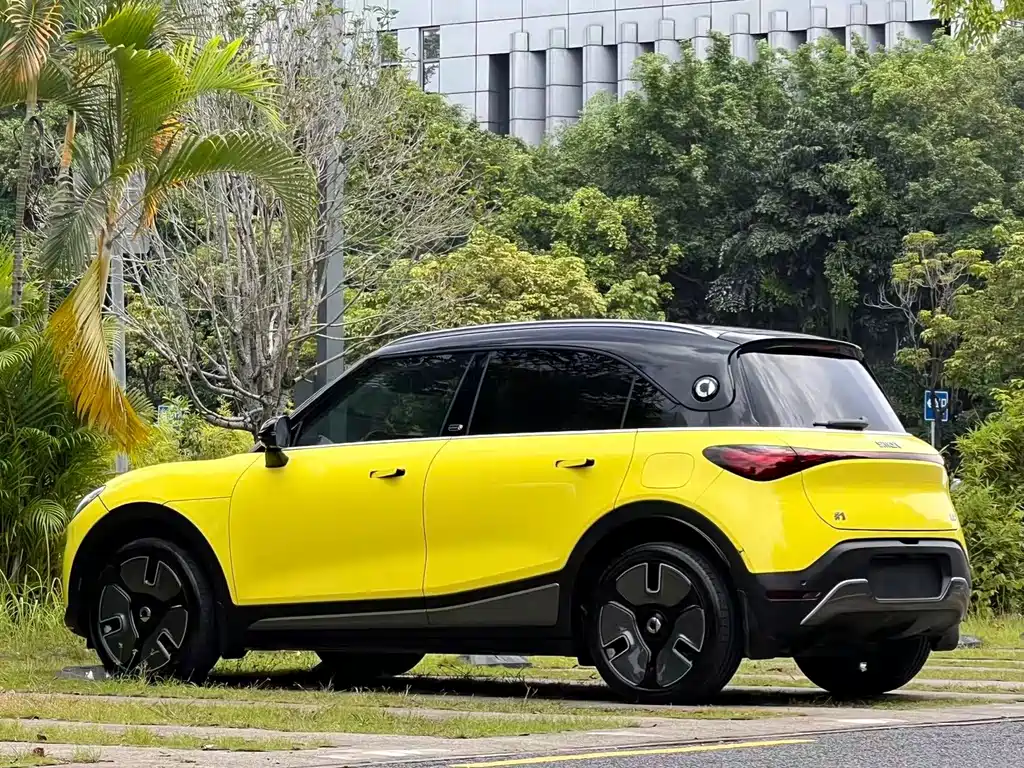 smart Smart #1 — миниатюра 5