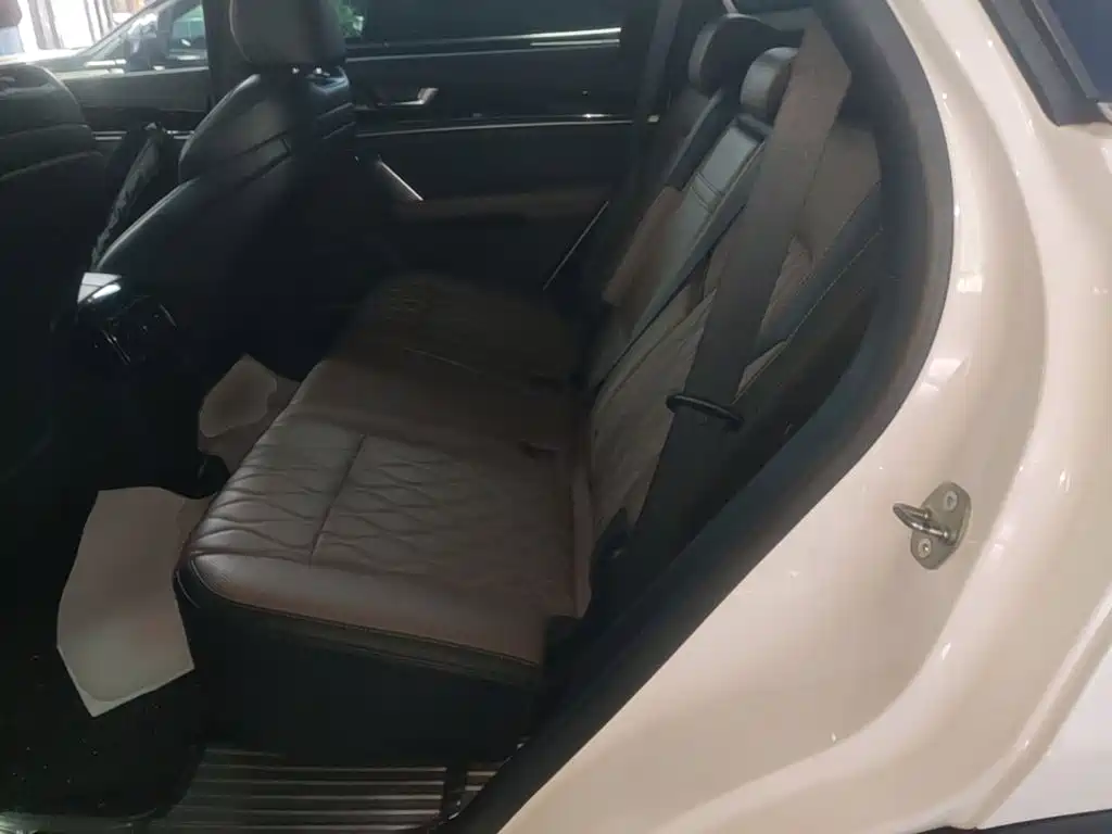 BYD Tang New Energy — миниатюра 17