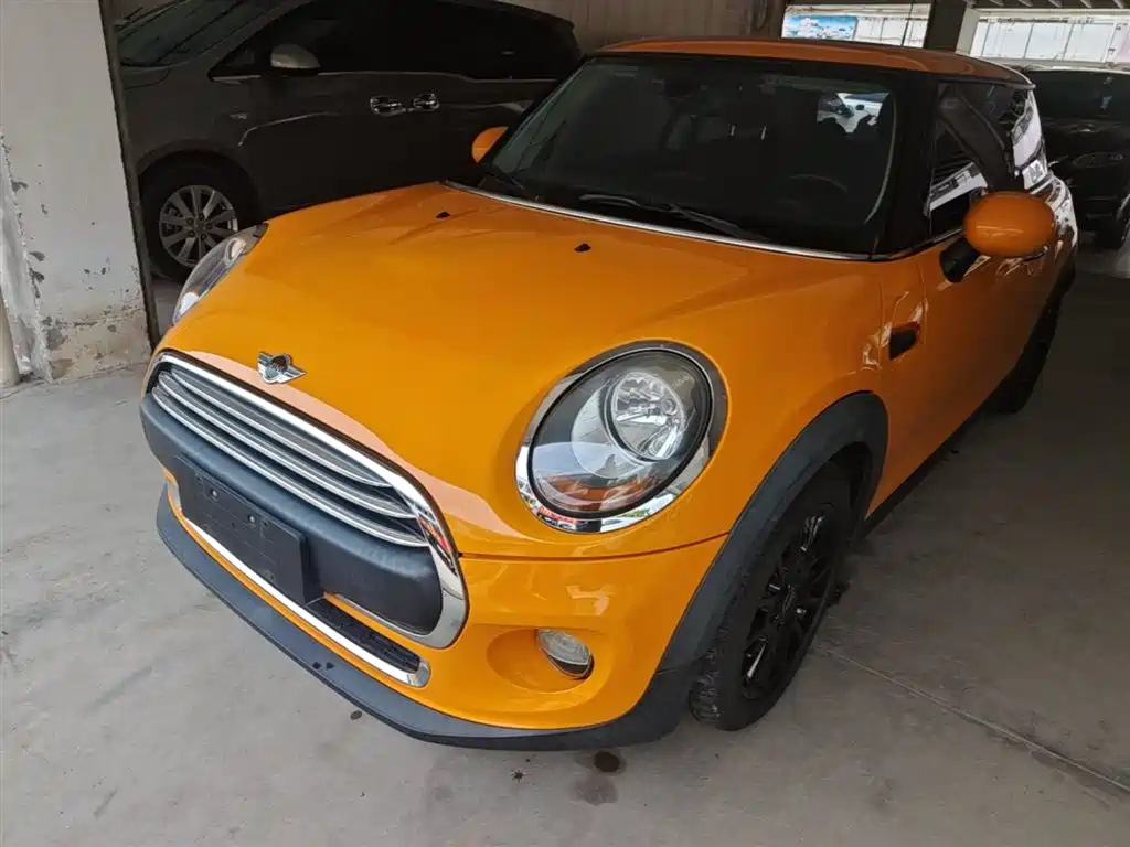 Mini Mini 2016