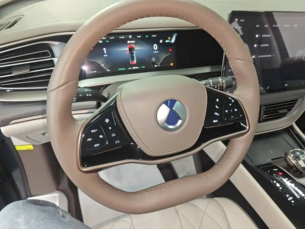 Denza Denza D9 — миниатюра 11