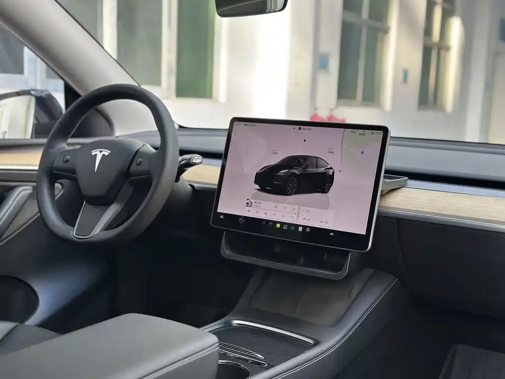 Tesla Model Y — миниатюра 17